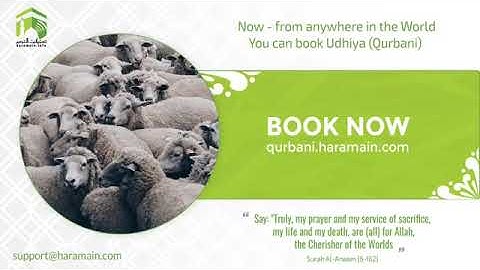 مغربية بديعة من الحرم المكي لخواتيم سورة البقرة وسورة الانفطار  كاملة د عبدالله الجهني 24 11 1441