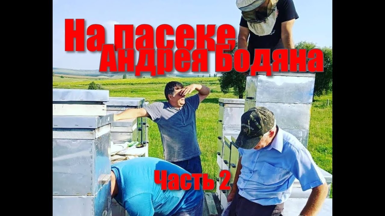 ⁣На пасеке Андрея Бодяна - Летний визит /Часть вторая/