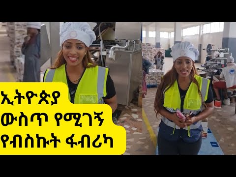 ቪዲዮ: የአስቴር ዘር እንክብካቤ፡የአስቴር አበባዎችን ከዘር እንዴት እንደሚያሳድጉ