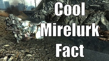 An Interesting Detail About Mirelurks In Fallout 3