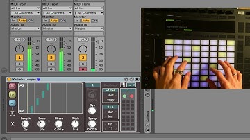 Note Looper - Max for Live