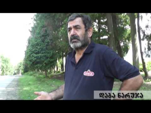 დაბა ნარუჯა - პრობლემები