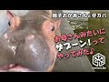 お母さんみたいなザブーンザブーン!の練習中?ちょこまかカバの赤ちゃん【旭山動物園】旭子おかあさんと仔カバ Baby Hippo wants to swim like her mom!?