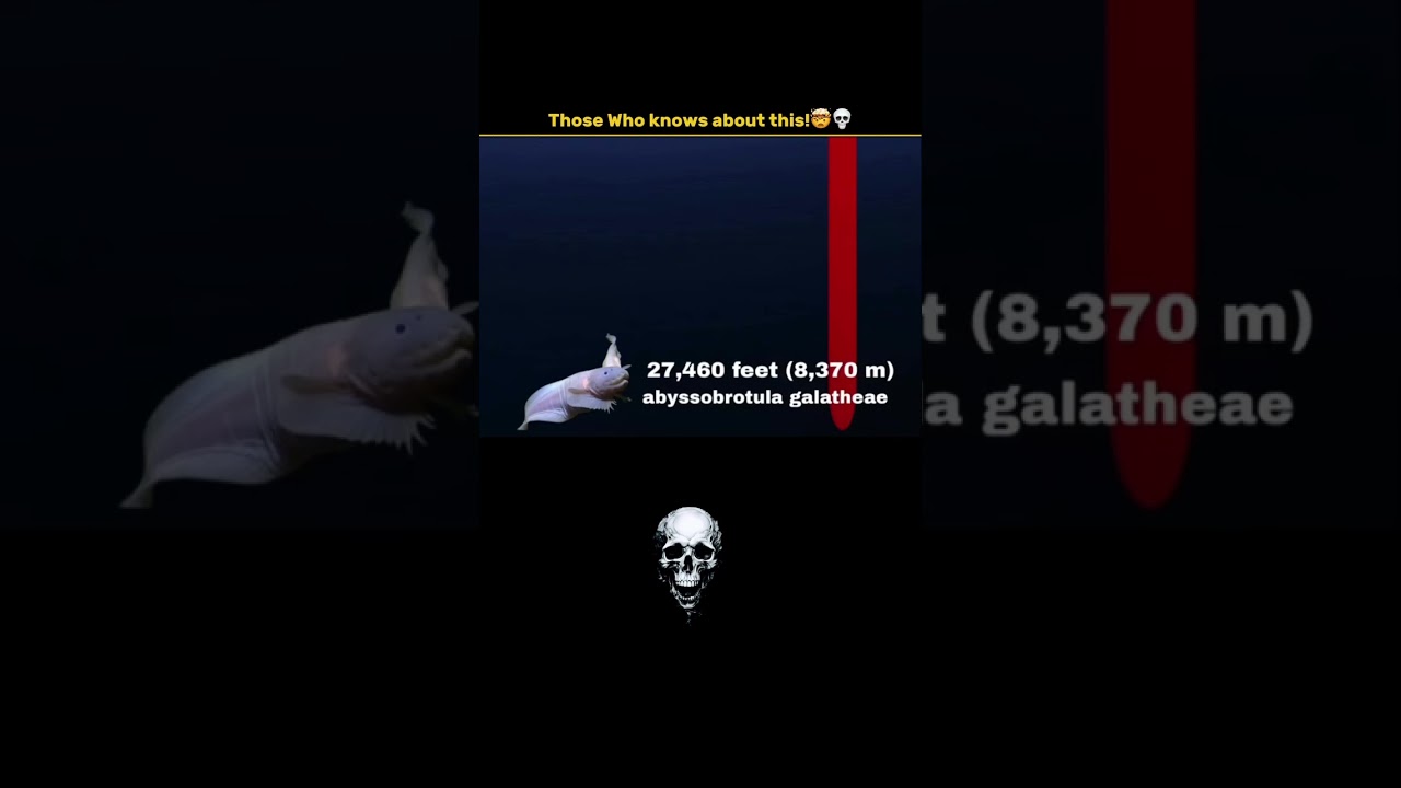 If this fish appears, it’s over😱 