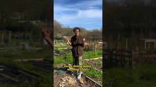 the allotment diaries: Episode 3 #allotment #growyourownfood #viral #vegetables
