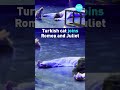 Turkish cat steals the show at Romeo and Juliet play