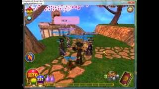 Random Wizard101 video XD