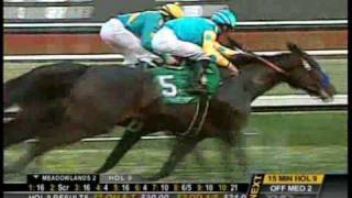 Pioneerof The Nile: G1 CashCall Futurity 12/20/2008