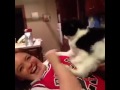 Kitty Hates Hugs Most Funny Video Of 2016 Must Watch