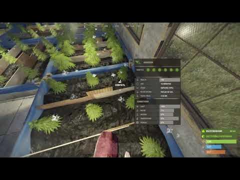 Гены раст буквы. Гены растений в раст. Гены растений в раст. Генетика раст. Гены растений в раст.