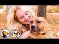 'Aggressive' Pittie Is The Best Mom To So Many Foster Puppies | The Dodo Pittie Nation