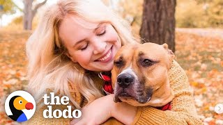 'Aggressive' Pittie Is The Best Mom To So Many Foster Puppies | The Dodo Pittie Nation