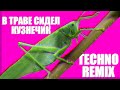 В Траве Сидел Кузнечик TECHNO REMIX (Незнайка)