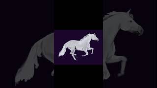 Unicorn , iPad art using pro create app screenshot 5