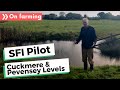 SFI Pilot: Learning from the Pevensey Levels land management plan