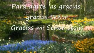 Video thumbnail of "Gracias - Marcos Witt"