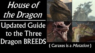 House of the Dragon: Updated Guide to the Three Dragon Breeds Developed by the Prequel Series