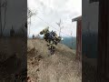 [Video Log 57] ...