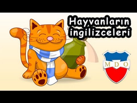 Hayvanlarin Ingilizcesi Ingilizce Hayvanlar Kolay Ingilizce Ogren Youtube