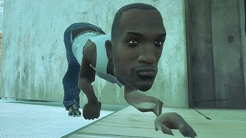 Stray but the cat is CJ