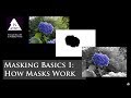 Masking Basics 1: How Masks Work