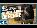 Chess openings learn to play the black lion defense