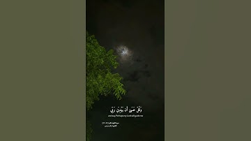 سورة الكهف الآيه { ٢٣ : ٢٦ }القارئ اسلام صبحي 🤍