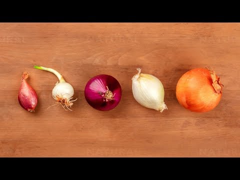 Which Onion Is The Healthiest?