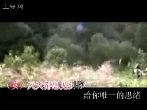 天天都想见到你 - 龙军 & T.R.Y
