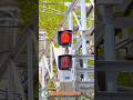 【踏切 電車】なにが通るかな???【ふみきりショート動画256】 #shorts