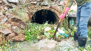 Hard Work With Supper Clogged! Removal Weeds Grow Clogged Culvert Drain