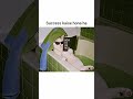 #cat #funny #cute #memes #trendingshorts #trending #trendingmemes #viralmemes