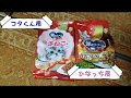 障害子猫の闘病日記㊻ ～皆様のご支援でご飯がグレードアップしました～😆✨❤️の巻～