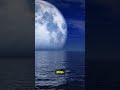 Sunday 8 March Astrology BIG Cosmic Glow Up