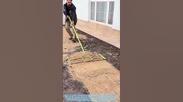 Raking the Canvas: The Tool That Levels the Ground