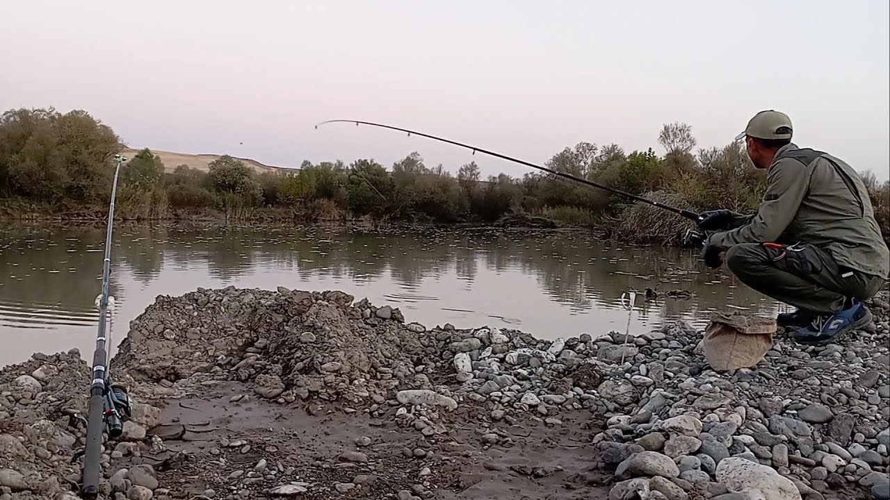 BOL BOL İSRAİL SAZANI & KEPENEZ BALIĞI AVI DİYARBAKIR/LOTS OF ISRAELI CARP & KEPENEZ FISH HUNTING