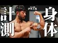 【驚愕】腕周り◯cm？フィジーク日本王者の身体を徹底計測！