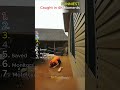 Ranking People Caught Slipping in 4K 🤣 #viral #funny #shorts #fyp #laugh #memes