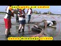 கரை ஒதுங்கிய கடல் கன்னிகள் || Mermaid Fish And Strange Found On Beach || Tamil Galatta Facts GKFOX