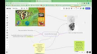 Tutorial: Sharing and commenting on Miro