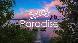 Spiring - Paradise (No Copyright Music)