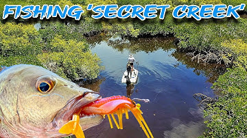 Skip casting Shrimp for Mangrove Jacks