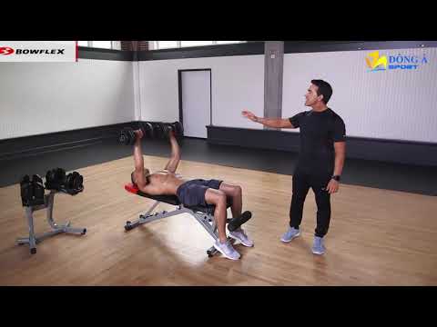 Video Tập với bộ tạ tập tay, ghế tập tạ điều chỉnh độ dốc... - youtube