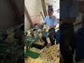 The "Behind-the-Scenes Hero" Behind Bamboo Products!