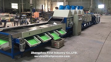 Dates washing,drying and grading machine大枣