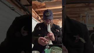 Ganja with Grinner: Joi Grape Cake and a few mentions.
