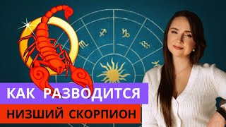 видео: 5 стратегий Скорпиона во время развода. Возьми на вооружение картинка: 5 стратегий Скорпиона во время развода. Возьми на вооружение