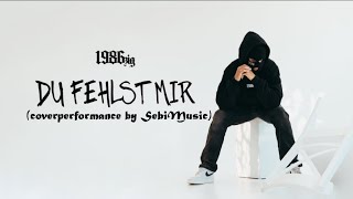 1986zig - Du fehlst mir (coverperformance by SebiMusic)