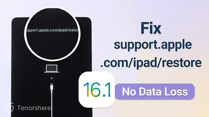 [5 Methods] How to Fix support.apple.com/ipad/restore on iPadOS 16 / 17