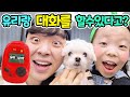 앨리스가 강아지 번역기로 유리의 속마음을 들어 봤더니?ㅋㅋㅋ